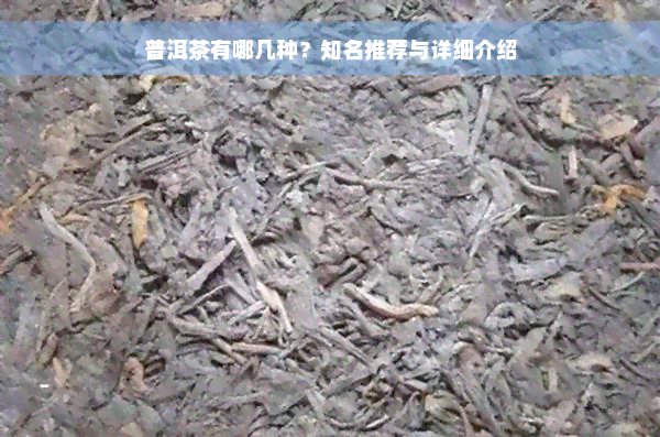 普洱茶有哪几种？知名推荐与详细介绍