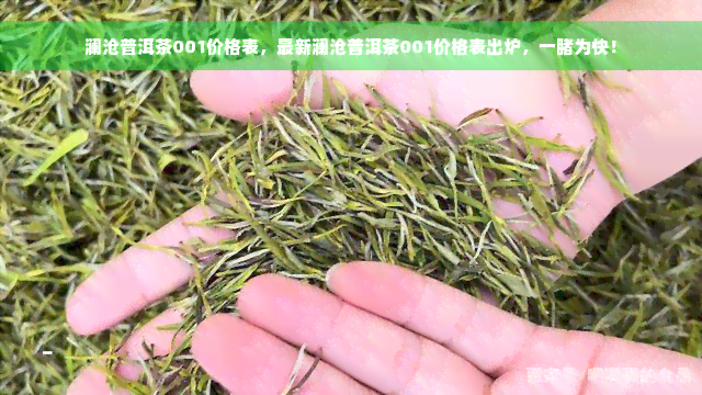 澜沧普洱茶001价格表，最新澜沧普洱茶001价格表出炉，一睹为快！