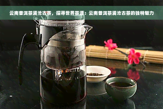 云南普洱茶澜沧古茶，探寻世界茶源：云南普洱茶澜沧古茶的独特魅力