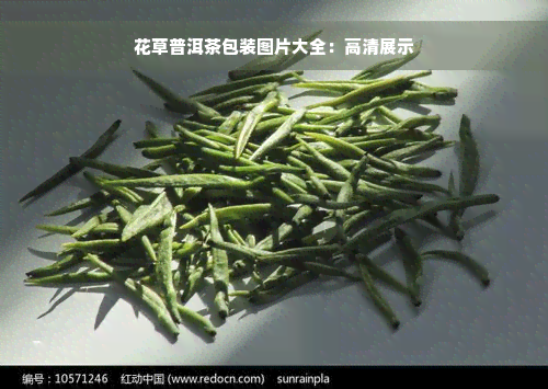 花草普洱茶包装图片大全：高清展示