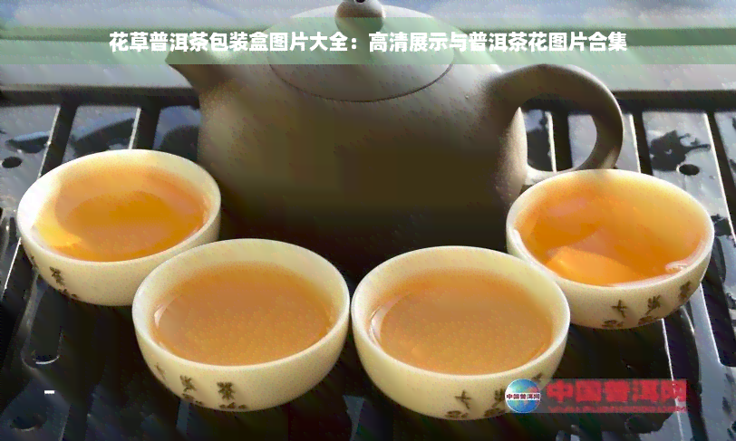 花草普洱茶包装盒图片大全：高清展示与普洱茶花图片合集