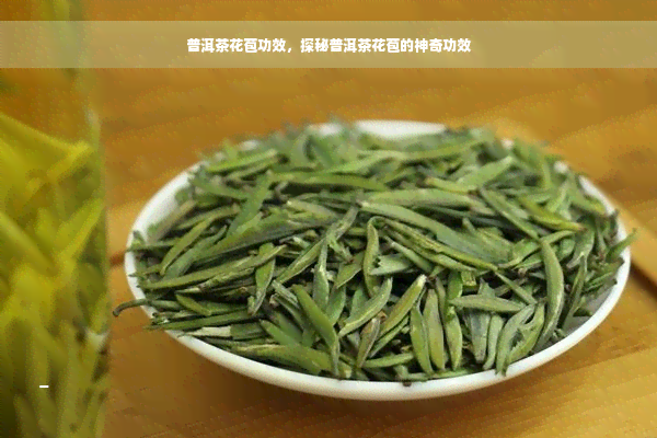 普洱茶花苞功效，探秘普洱茶花苞的神奇功效