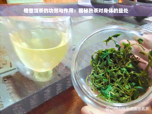 橙普洱茶的功效与作用：揭秘熟茶对身体的益处