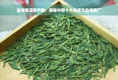 勐海普洱茶产地：揭秘中国十大名牌及勐海茶厂