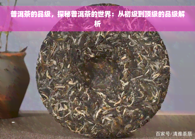 普洱茶的品级，探秘普洱茶的世界：从初级到顶级的品级解析