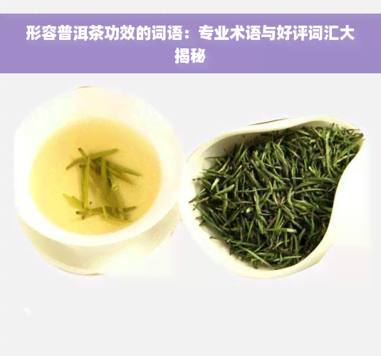 形容普洱茶功效的词语：专业术语与好评词汇大揭秘