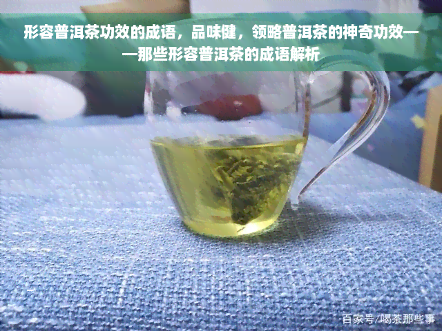 形容普洱茶功效的成语，品味健，领略普洱茶的神奇功效——那些形容普洱茶的成语解析