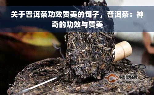 关于普洱茶功效赞美的句子，普洱茶：神奇的功效与赞美