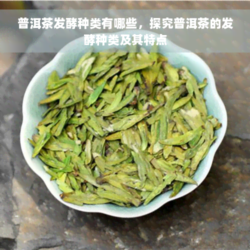 普洱茶发酵种类有哪些，探究普洱茶的发酵种类及其特点