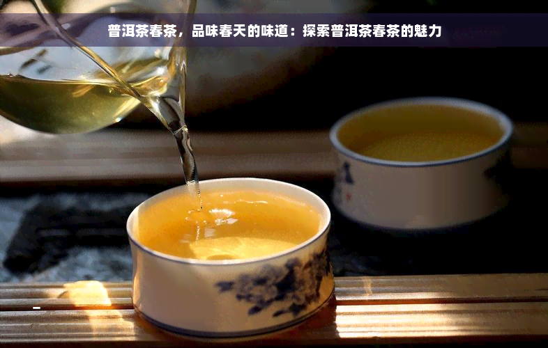 普洱茶春茶，品味春天的味道：探索普洱茶春茶的魅力