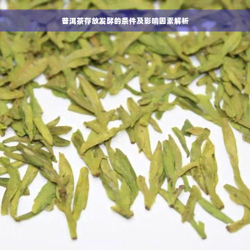 普洱茶存放发酵的条件及影响因素解析