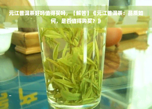 元江普洱茶好吗值得买吗，【解答】《元江普洱茶：品质如何，是否值得购买？》