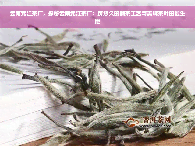 云南元江茶厂，探秘云南元江茶厂：历悠久的制茶工艺与美味茶叶的诞生地