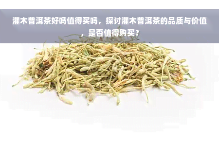 灌木普洱茶好吗值得买吗，探讨灌木普洱茶的品质与价值，是否值得购买？