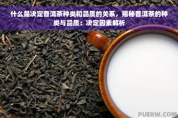 什么是决定普洱茶种类和品质的关系，揭秘普洱茶的种类与品质：决定因素解析
