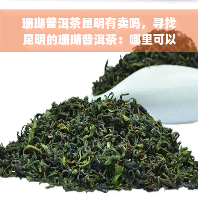 珊瑚普洱茶昆明有卖吗，寻找昆明的珊瑚普洱茶：哪里可以购买？