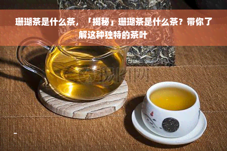 珊瑚茶是什么茶，「揭秘」珊瑚茶是什么茶？带你了解这种独特的茶叶