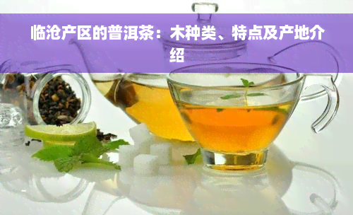 临沧产区的普洱茶：木种类、特点及产地介绍