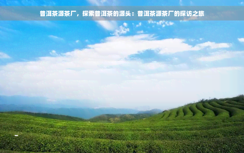 普洱茶源茶厂，探索普洱茶的源头：普洱茶源茶厂的探访之旅