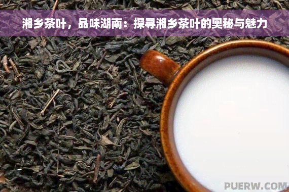 湘乡茶叶，品味湖南：探寻湘乡茶叶的奥秘与魅力
