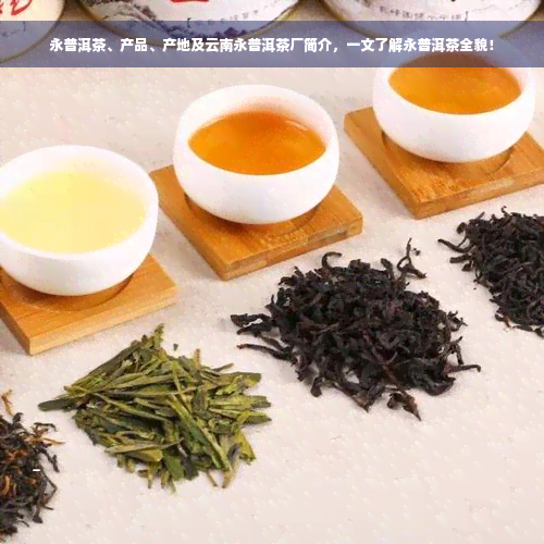 永普洱茶、产品、产地及云南永普洱茶厂简介，一文了解永普洱茶全貌！