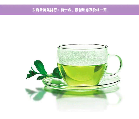 东海普洱茶排行：前十名、最新动态及价格一览