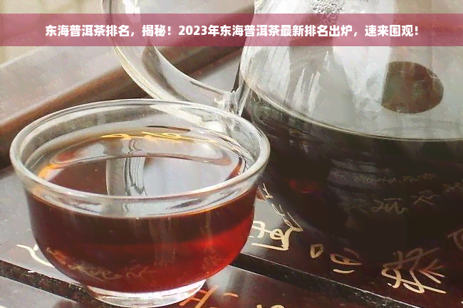 东海普洱茶排名，揭秘！2023年东海普洱茶最新排名出炉，速来围观！