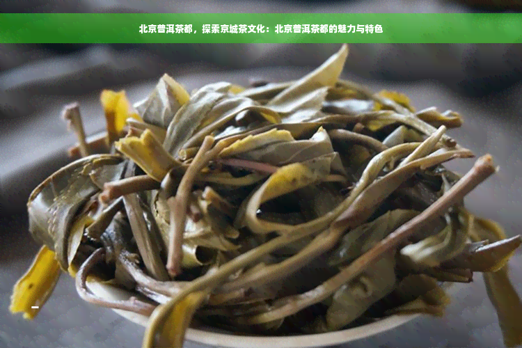 北京普洱茶都，探索京城茶文化：北京普洱茶都的魅力与特色