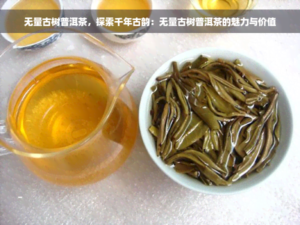 无量古树普洱茶，探索千年古韵：无量古树普洱茶的魅力与价值