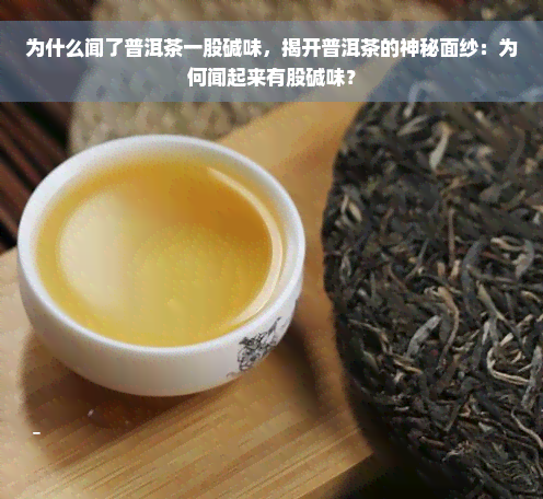 为什么闻了普洱茶一股碱味，揭开普洱茶的神秘面纱：为何闻起来有股碱味？