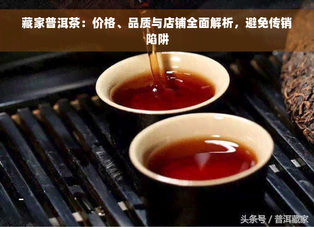 藏家普洱茶：价格、品质与店铺全面解析，避免传销陷阱