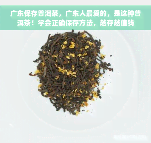 广东保存普洱茶，广东人更爱的，是这种普洱茶！学会正确保存方法，越存越值钱