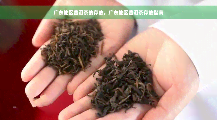 广东地区普洱茶的存放，广东地区普洱茶存放指南