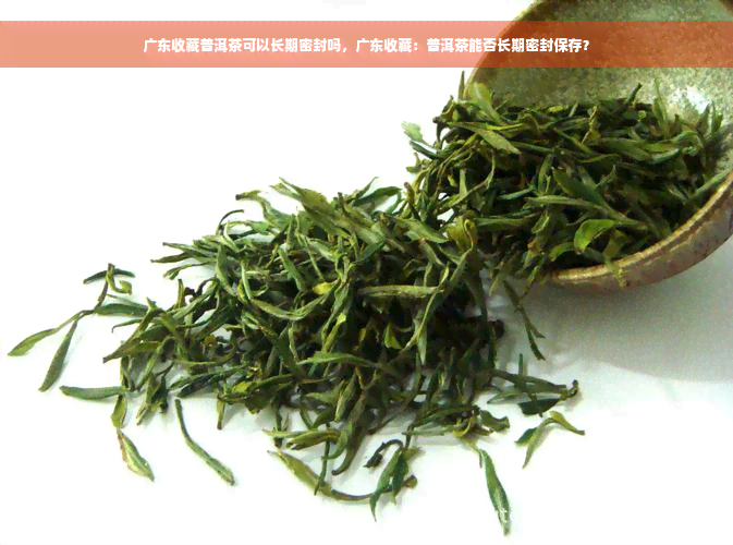 广东收藏普洱茶可以长期密封吗，广东收藏：普洱茶能否长期密封保存？