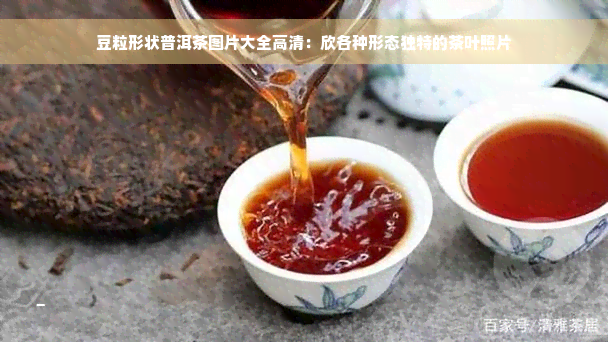 豆粒形状普洱茶图片大全高清：欣各种形态独特的茶叶照片