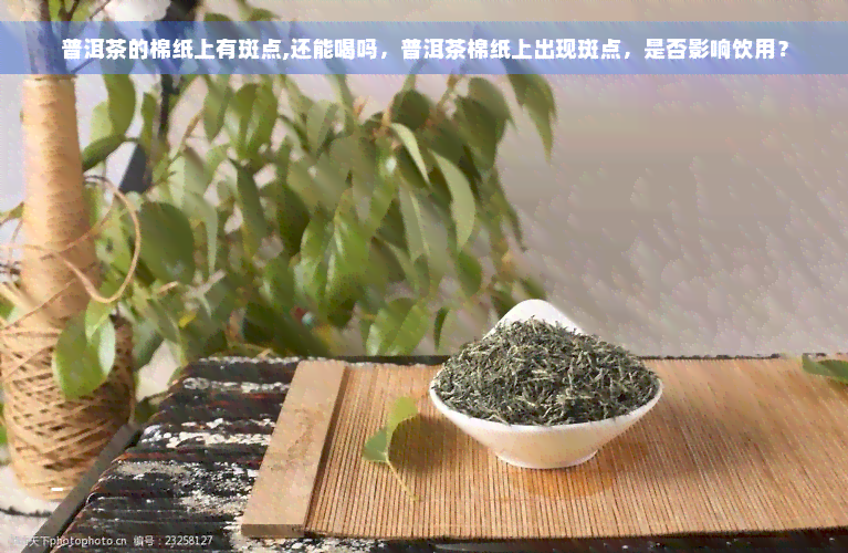 普洱茶的棉纸上有斑点,还能喝吗，普洱茶棉纸上出现斑点，是否影响饮用？