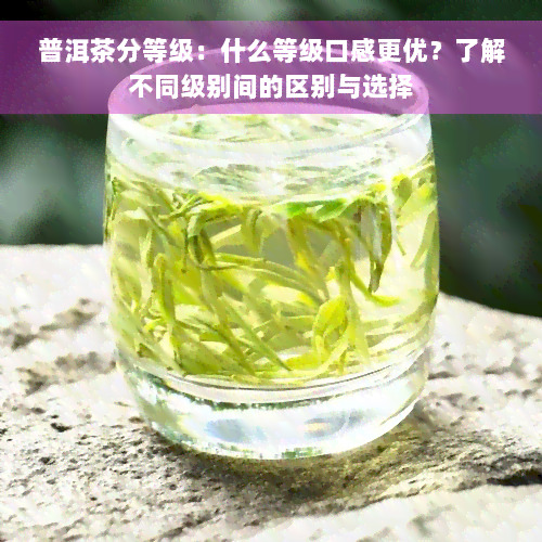 普洱茶分等级：什么等级口感更优？了解不同级别间的区别与选择