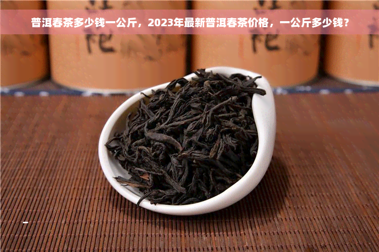 普洱春茶多少钱一公斤，2023年最新普洱春茶价格，一公斤多少钱？