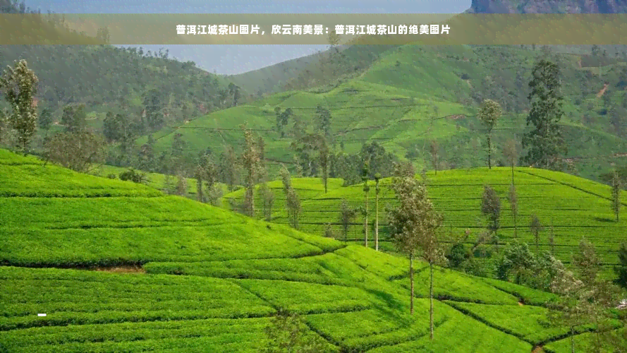 普洱江城茶山图片，欣云南美景：普洱江城茶山的绝美图片