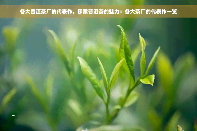 各大普洱茶厂的代表作，探索普洱茶的魅力：各大茶厂的代表作一览