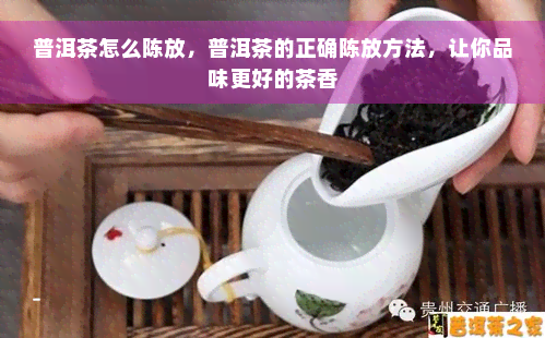 普洱茶怎么陈放，普洱茶的正确陈放方法，让你品味更好的茶香