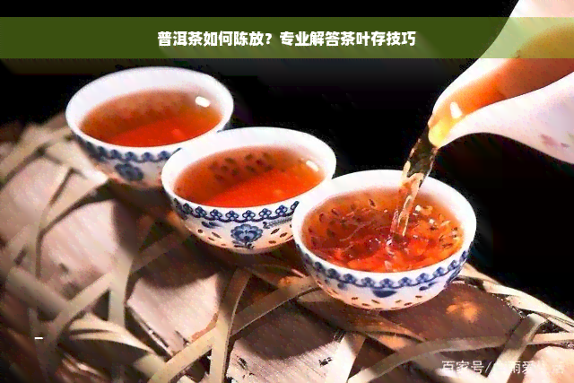 普洱茶如何陈放？专业解答茶叶存技巧