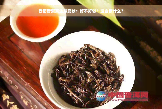 云南普洱茶生意现状：好不好做？适合做什么？