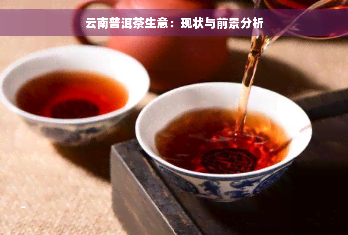 云南普洱茶生意：现状与前景分析