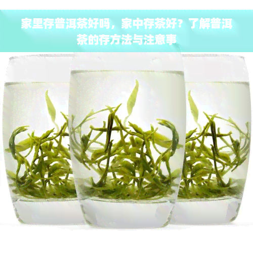 家里存普洱茶好吗，家中存茶好？了解普洱茶的存方法与注意事