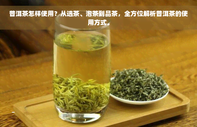 普洱茶怎样使用？从选茶、泡茶到品茶，全方位解析普洱茶的使用方式。
