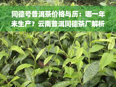 同德号普洱茶价格与历：哪一年未生产？云南普洱同德茶厂解析