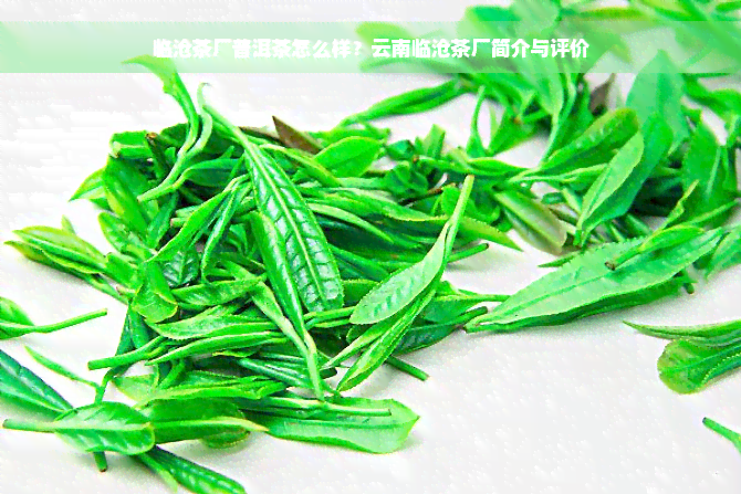 临沧茶厂普洱茶怎么样？云南临沧茶厂简介与评价