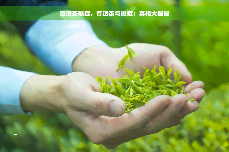 普洱茶癌症，普洱茶与癌症：真相大揭秘