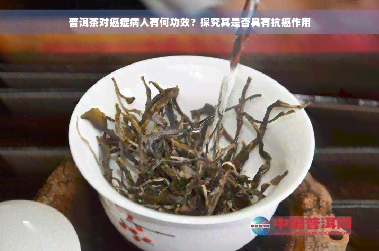 普洱茶对癌症病人有何功效？探究其是否具有抗癌作用